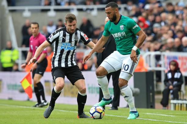 仅是职业生 仅是职业生